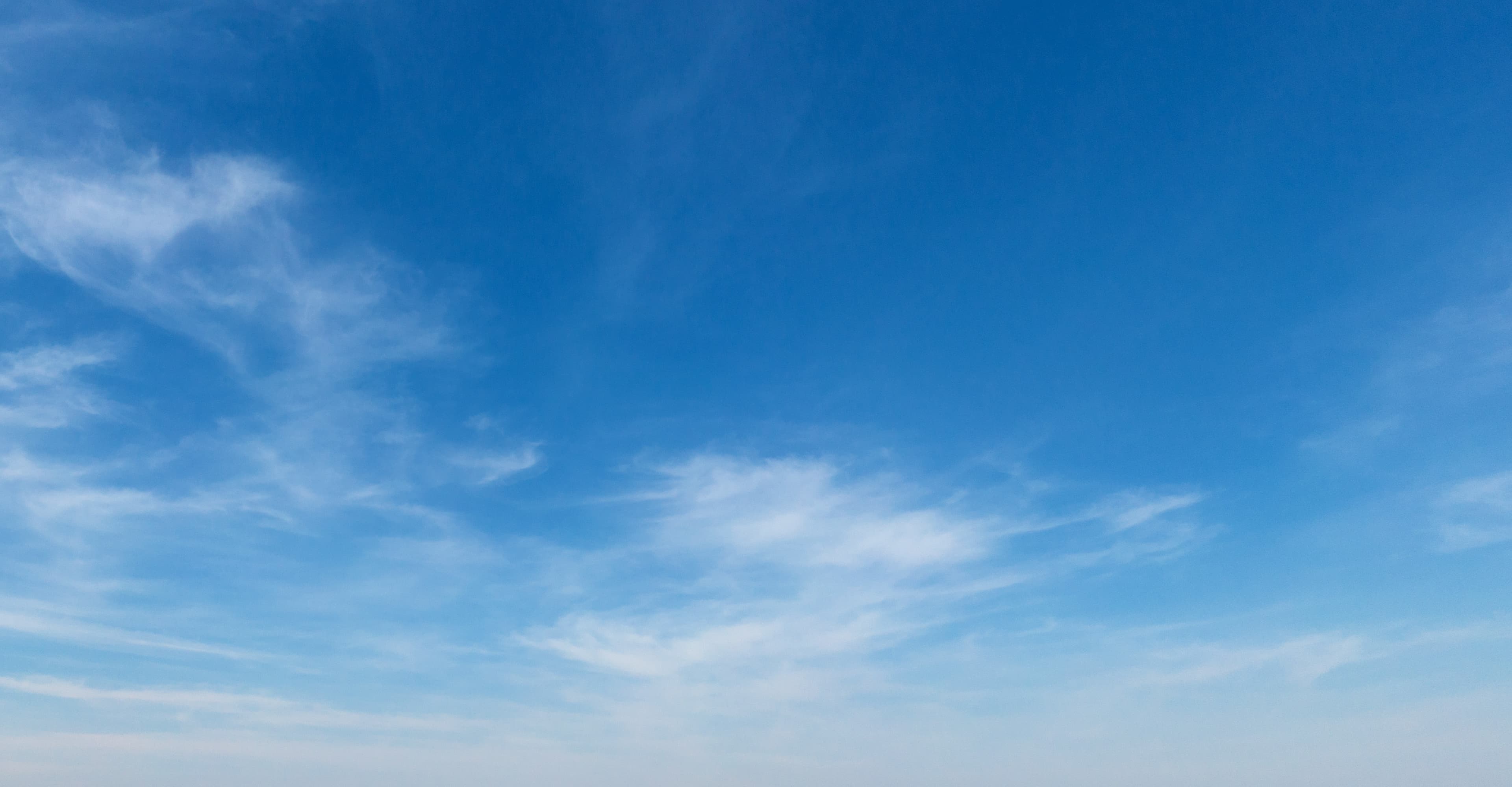 청연 활동 현장